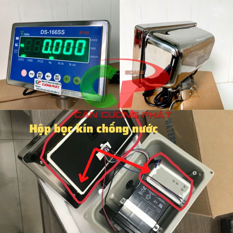 Bộ chỉ thị DS166SS Green