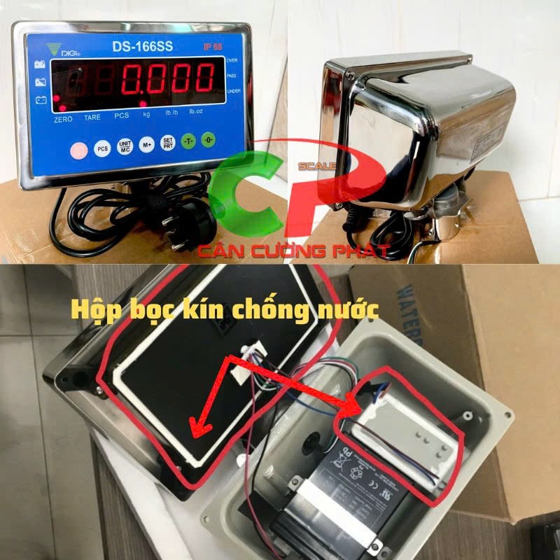 Bộ chỉ thị DS166SS chống nước