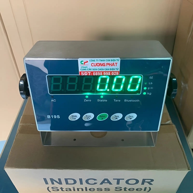 Bộ chỉ thị B19S