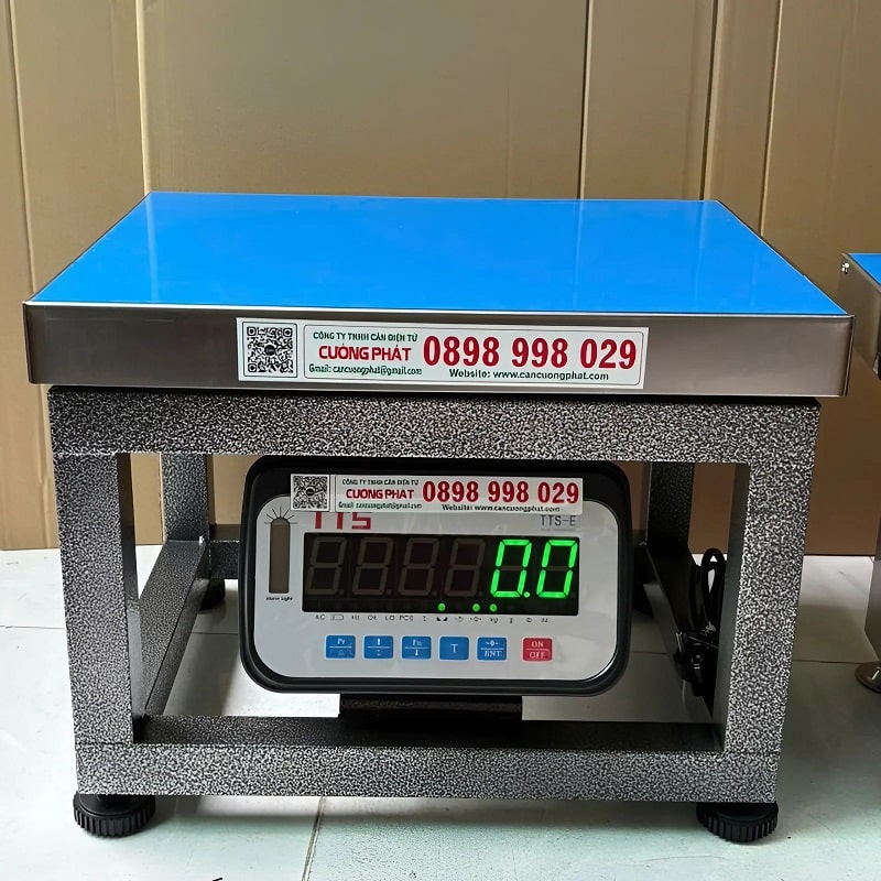 Cân ghế điện tử TTS-E 100kg/200kg/300kg