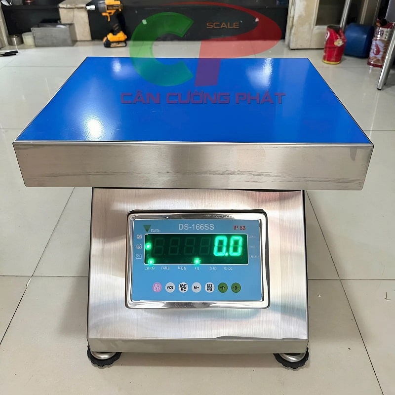 Cân ghế hộp inox chống nước DS166SS 100kg/200kg/300kg Led Xanh