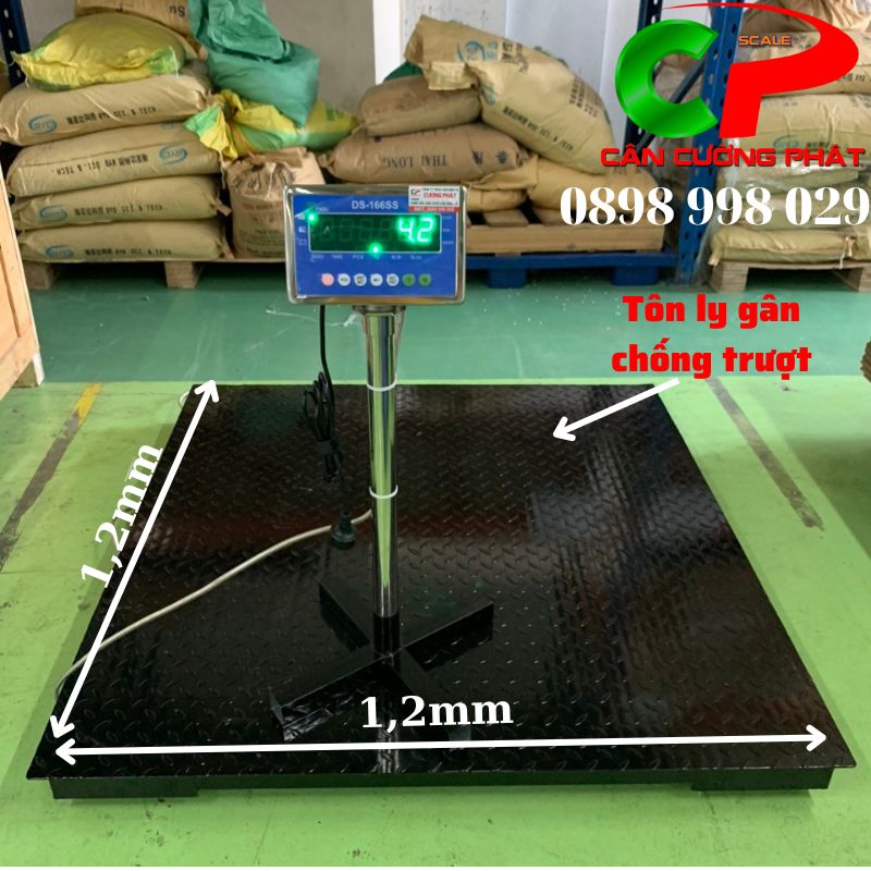 Hình ảnh cân sàn điện tử 3 Tấn DS166SS